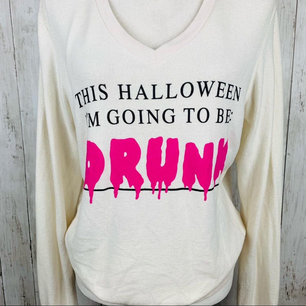 🔥WILDFOX🔥This Halloween I’m Going To Be Drunk V-Neck Knit Top Medium NWT - Picture 9 of 10